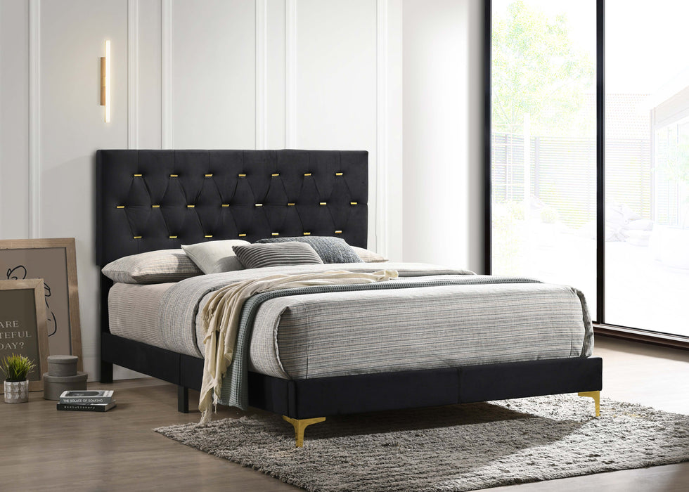 Kendall Tufted Panel Bed Black and Gold